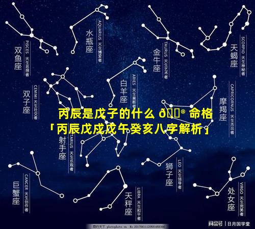 丙辰是戊子的什么 💮 命格「丙辰戊戍戊午癸亥八字解析」